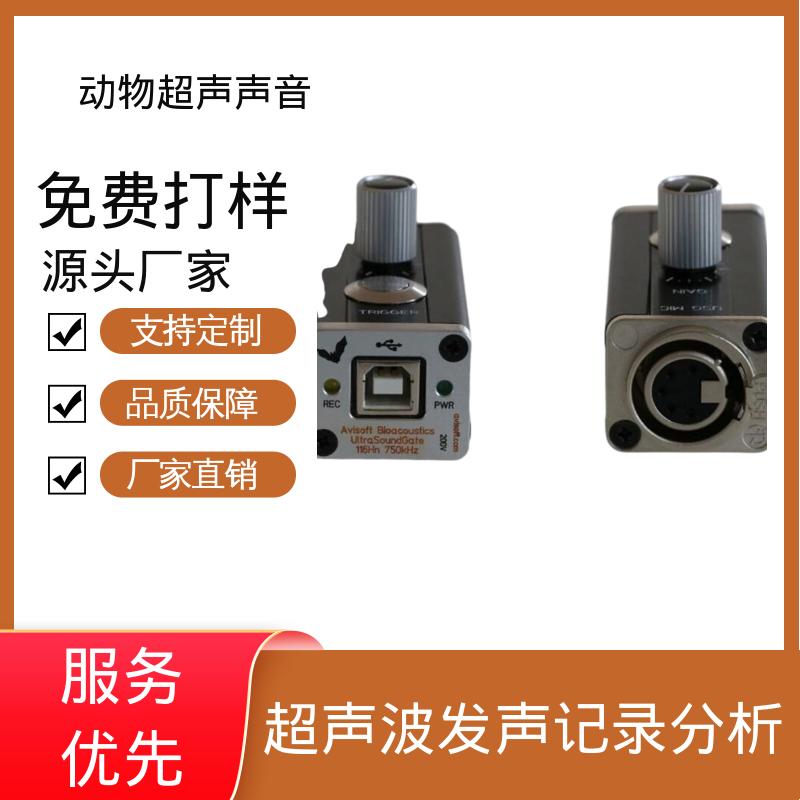 德国Avisoft 手持式超声波测深仪 输入阻抗 50 kΩ 厂家供应 现货充足