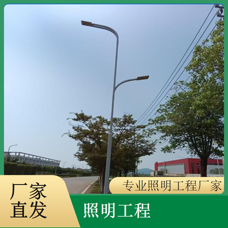  吊灯照明工程定制商业空间装饰照明造型时尚大气千百照