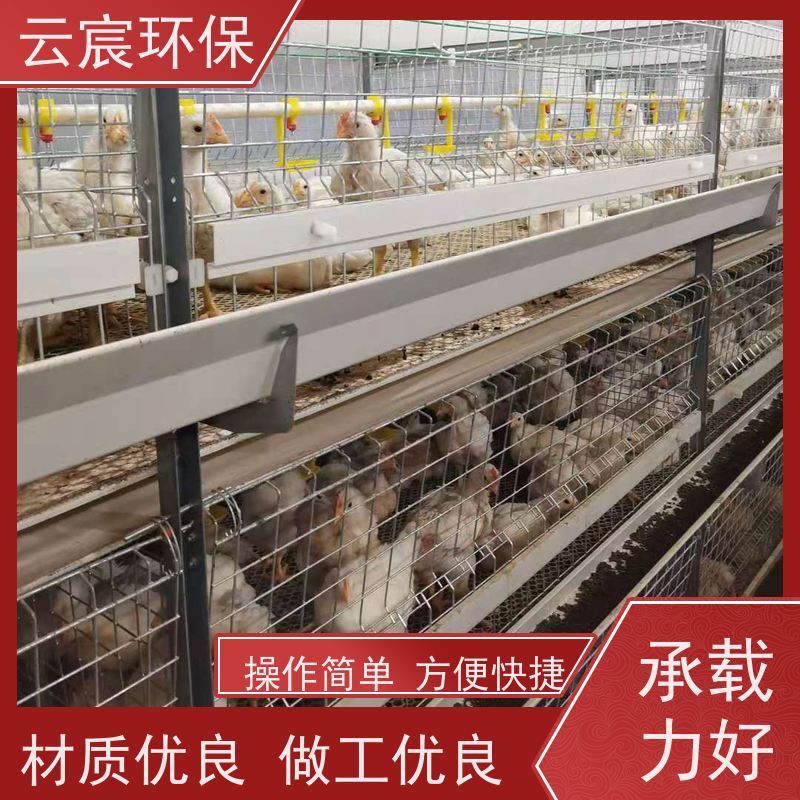 云宸环保 三层框架肉鸡笼 全自动收集清粪养殖设备 实用性高