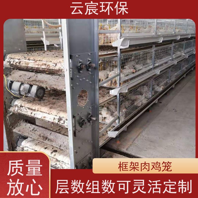 云宸环保 三层框架肉鸡笼 鸡场养殖自动化设备 空间利用率高