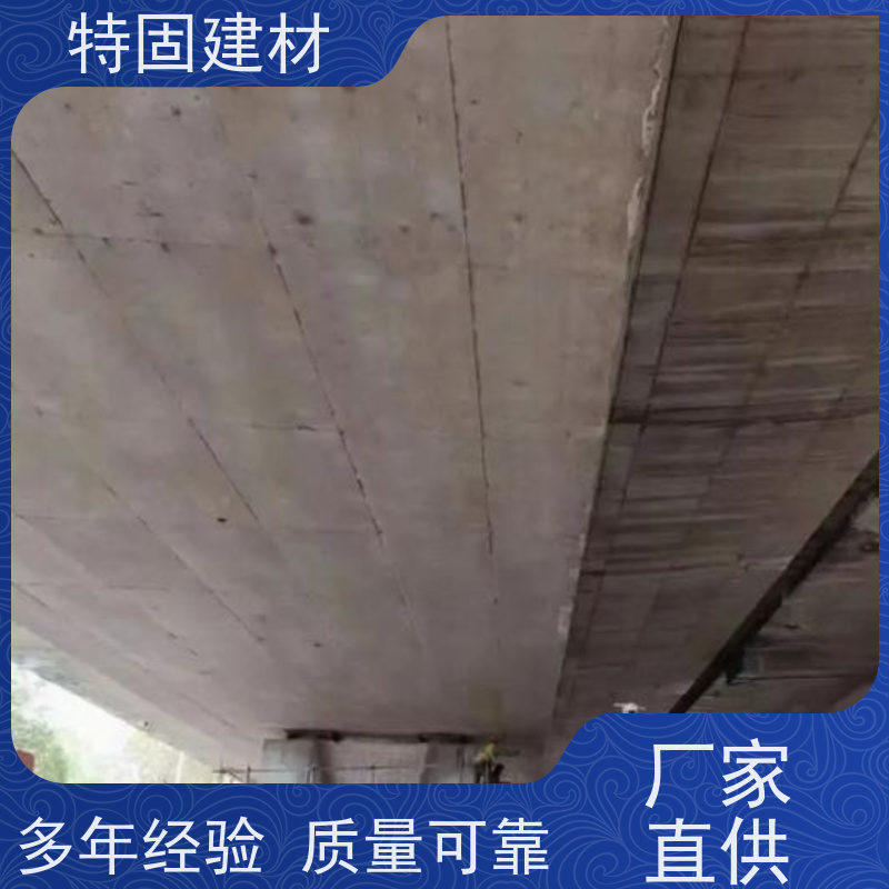 修补加固防水砂浆 耐酸碱耐腐蚀 工厂供应 发货及时 特固新型建材