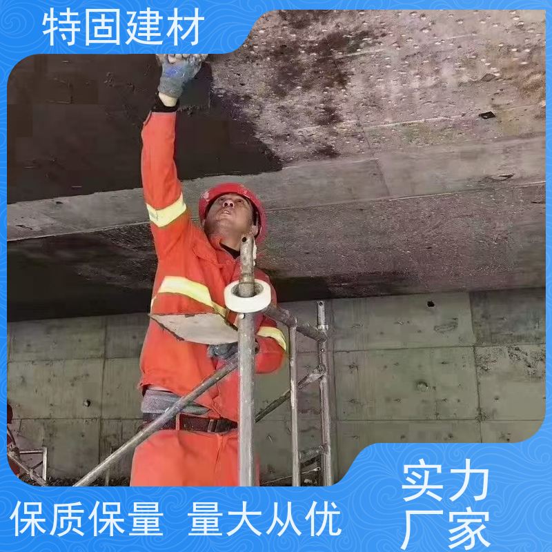 修补加固防水砂浆 适应性强 长期生产供应 特固新型建材