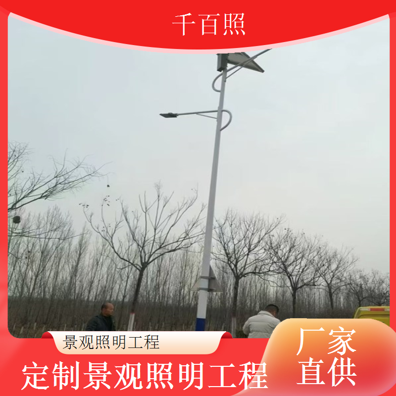 景观照明工程与绿植相互衬托展现植物夜间独特之美千百照