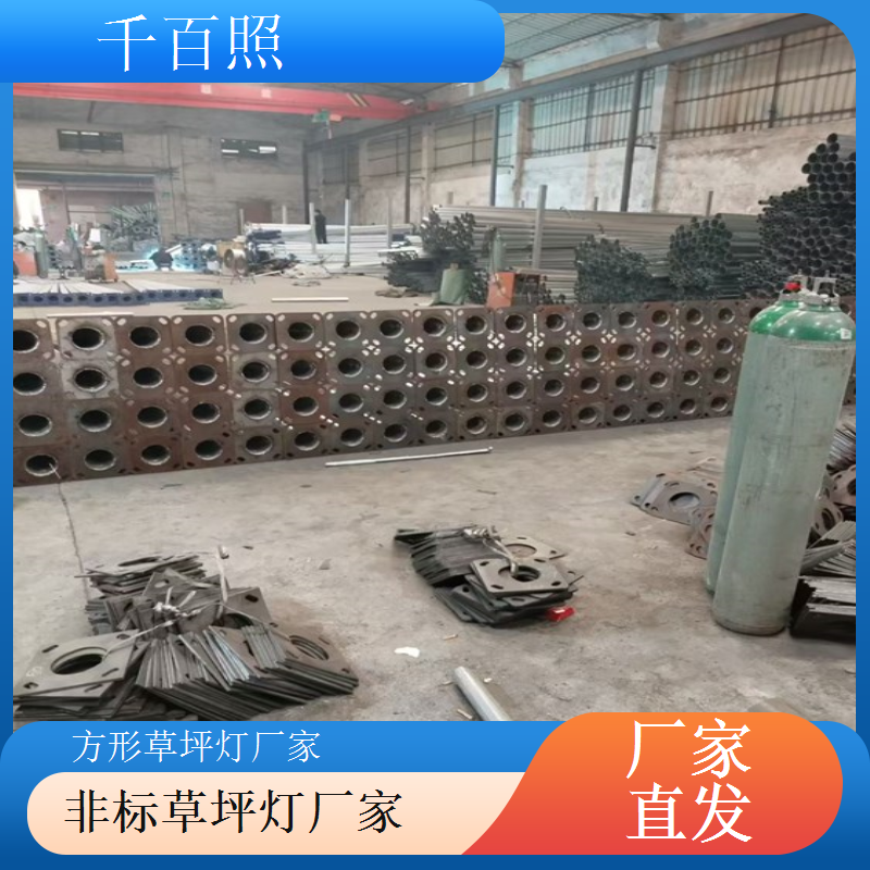 草坪灯厂家多年行业经验积累熟悉各类场景需求更专业更靠谱千百照