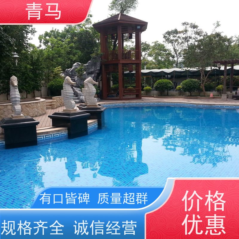 青马 恒温游泳池 适用于水上乐园 按需定制 免费测量