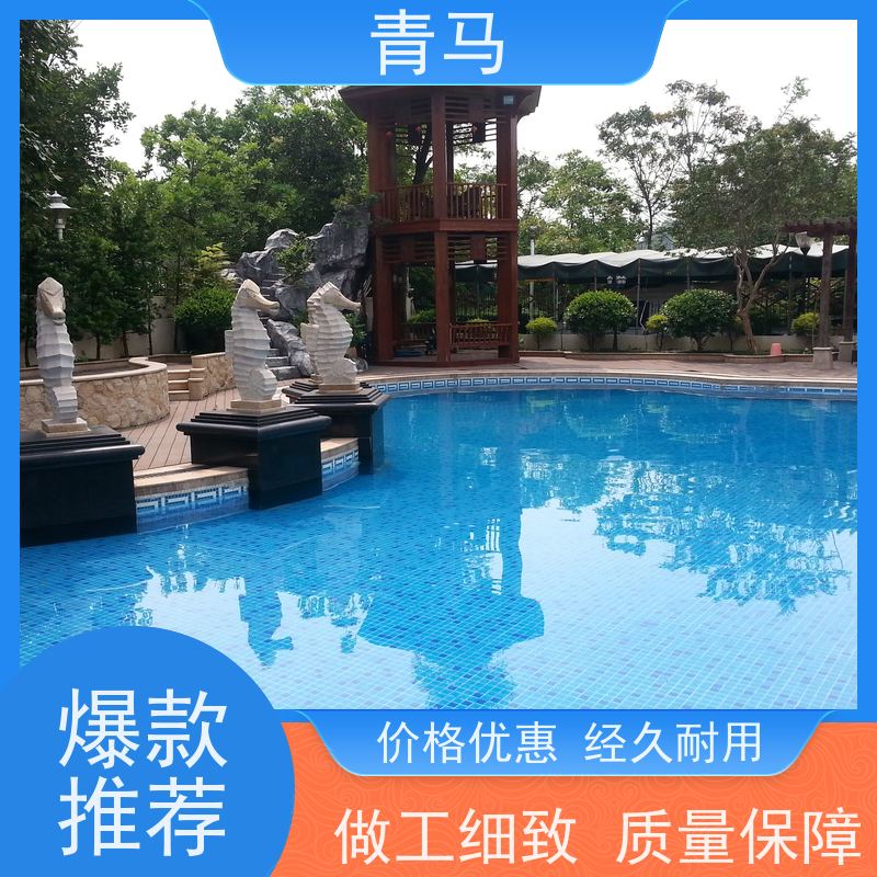 青马 无边界游泳池 适用于健身俱乐部 按需定制 免费测量