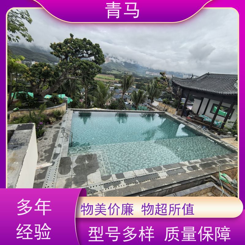 青马 私人游泳池 适用于健身俱乐部 设计 施工 维护 一站式服务