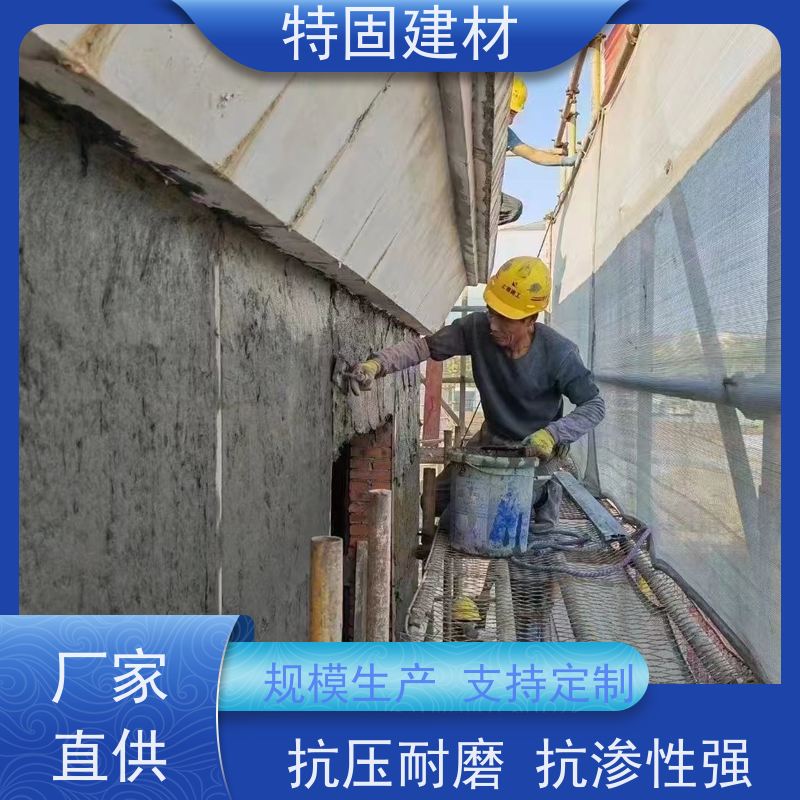 防水防腐砂浆 适应性强 长期生产供应 特固建材