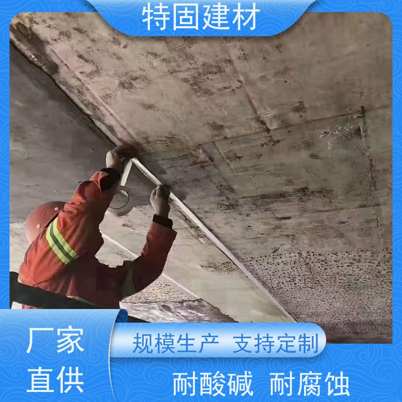 修补加固防水砂浆 防渗透耐酸碱 长期生产供应 特固新型建材