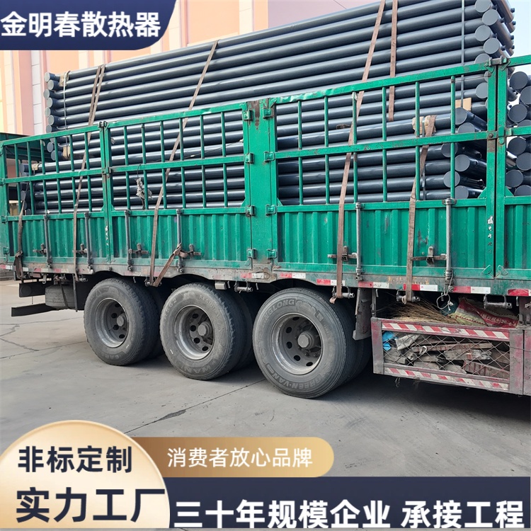 金明春 源头厂家 ab型工业光排管暖气片 重量轻易运输 全国供应