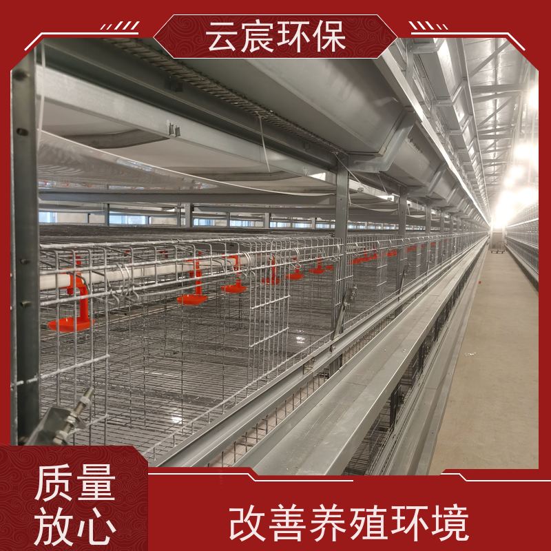 云宸环保 自动化青年鸡养殖笼 层数组数可灵活定制 不易变形