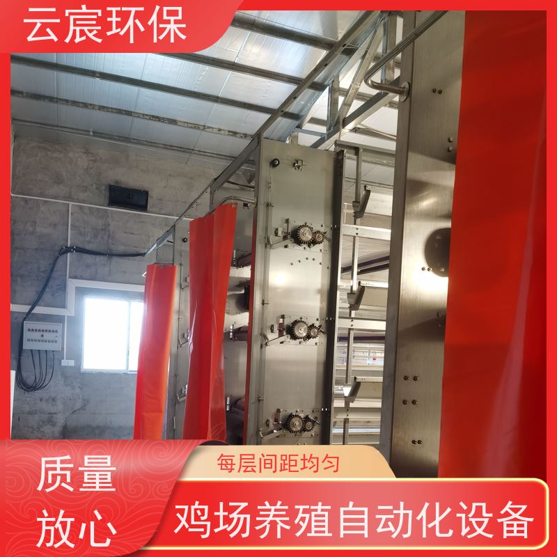 云宸环保 多层青年鸡笼子 智能化养殖 耐腐蚀 精密焊接工艺