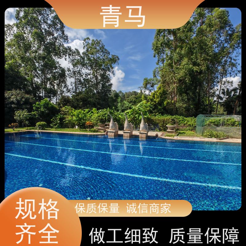 青马 温泉泳池 适用于水上乐园 设计 施工 维护 一站式服务