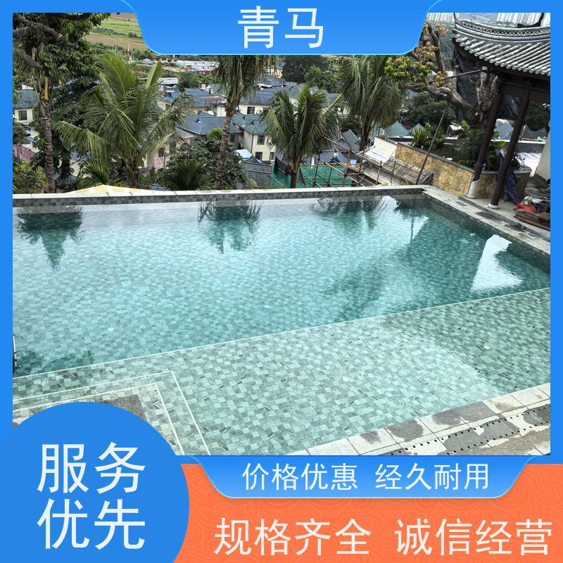 青马 私人泳池 适用于健身俱乐部 设计 施工 维护 一站式服务