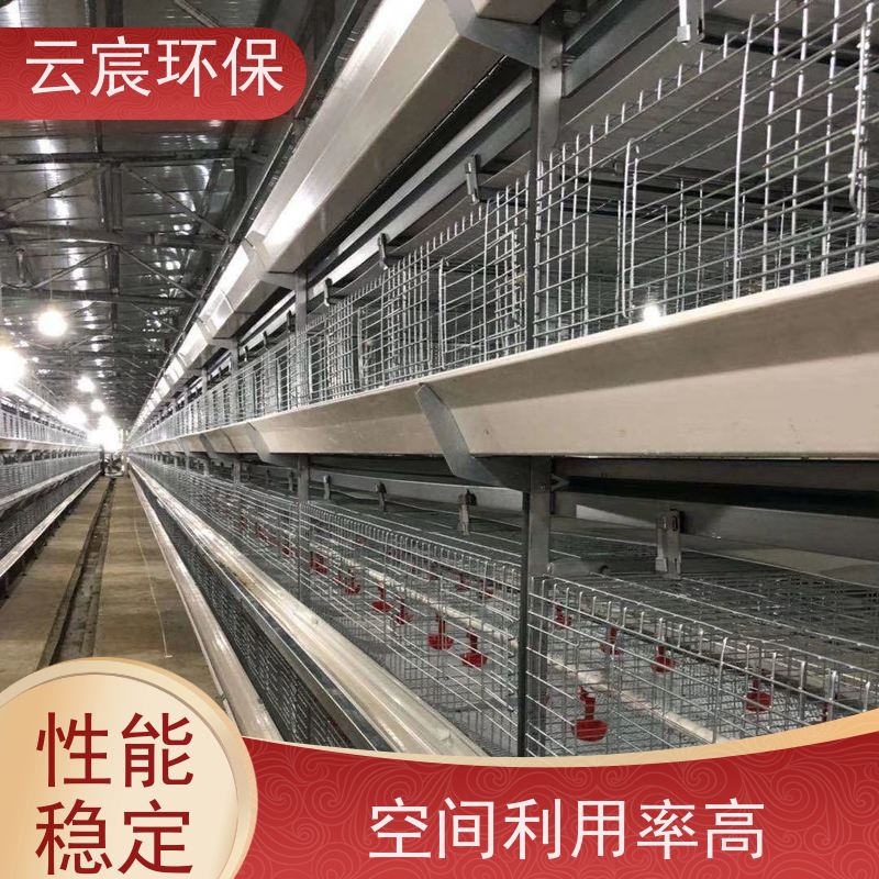 云宸环保 立体式青年鸡笼 大型鸡场养鸡设备 占地面积小