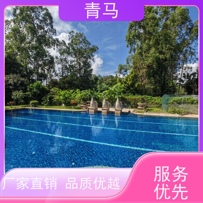 青马 成人游泳池 适用于水上乐园 设计 施工 维护 一站式服务