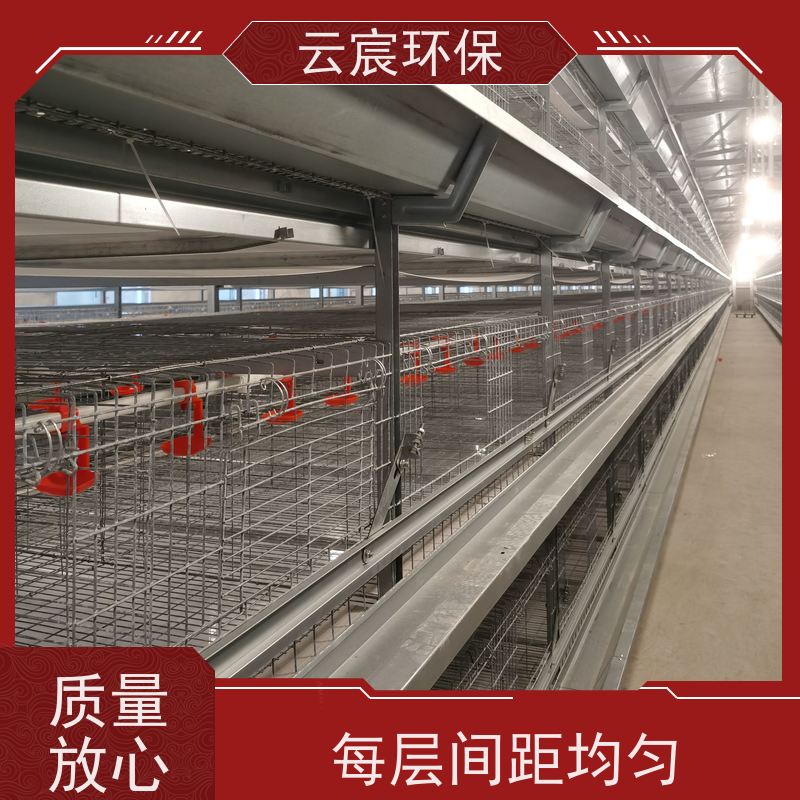 云宸环保 立体式青年鸡笼 可配套自动化设备 不易变形