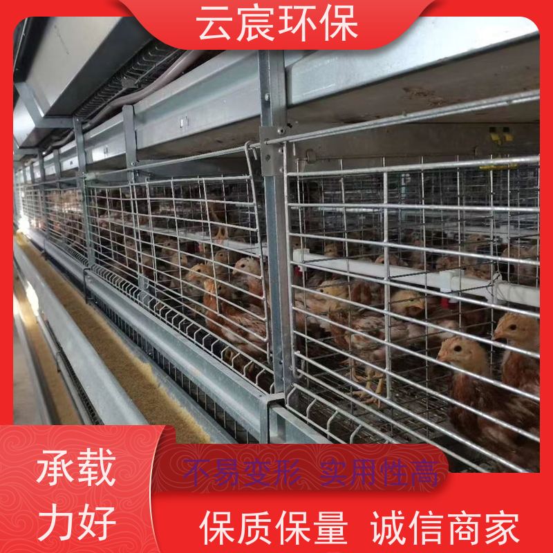 云宸环保 青年鸡笼 养鸡场全自动化养殖设备 省时省力