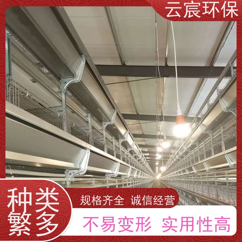 云宸环保 青年鸡笼 可配套自动化设备 使用寿命长