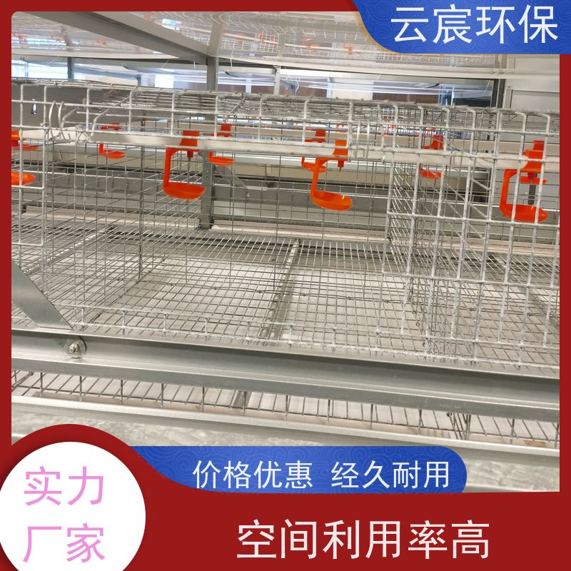 云宸环保 立体式青年鸡笼 镀锌养鸡设备 空间利用率高
