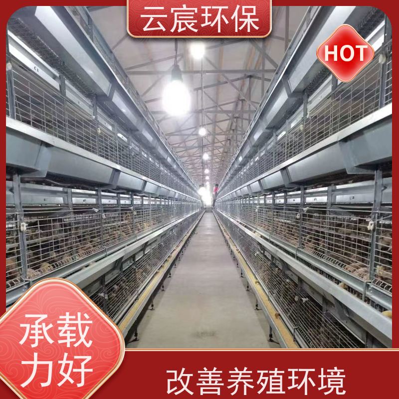 云宸环保 全自动青年鸡笼 大型鸡场养鸡设备 操作简单