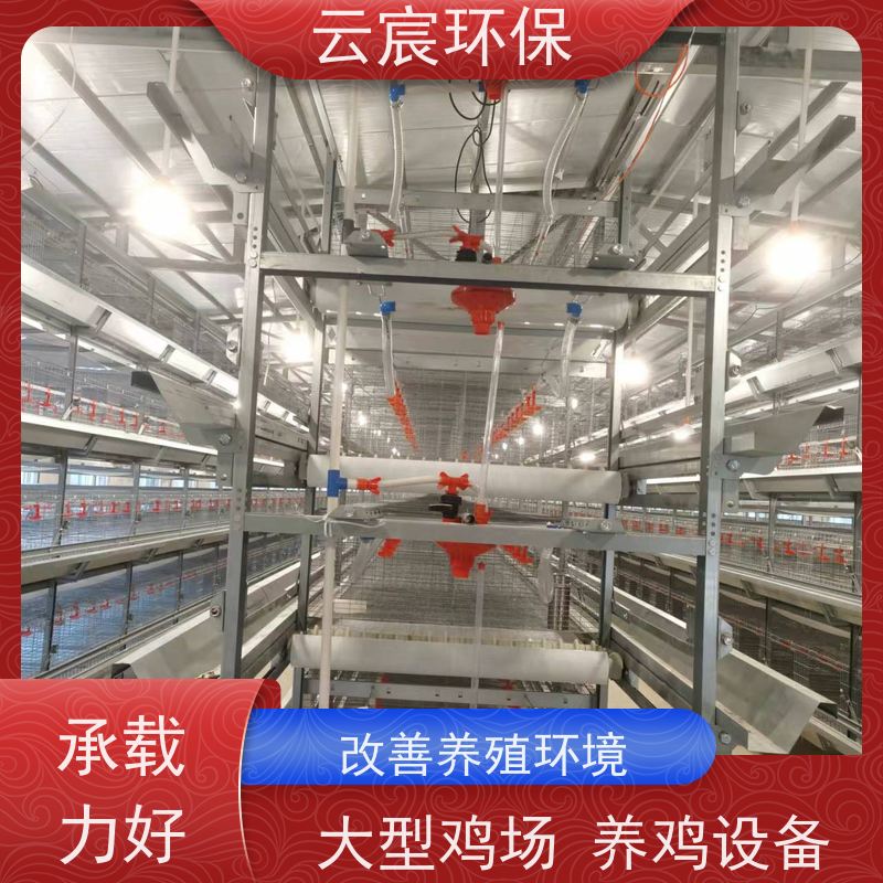 云宸环保 青年鸡笼 层数组数可灵活定制 使用寿命长