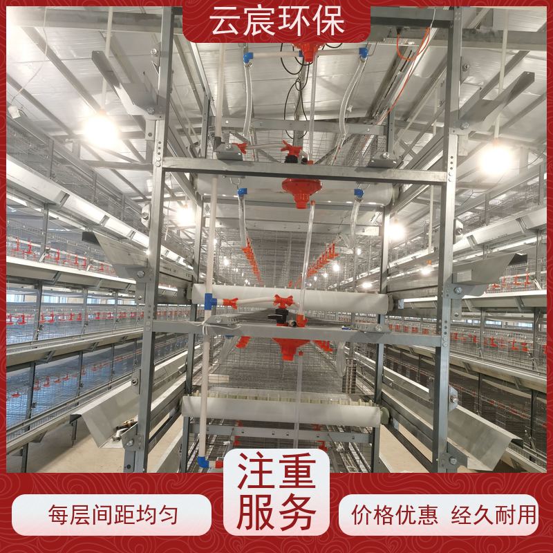 云宸环保 自动化青年鸡笼 大型鸡场养鸡设备 有效保证鸡只安全