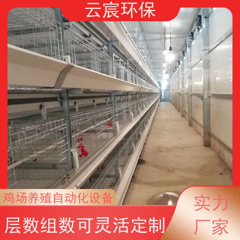 云宸环保 多层青年鸡笼子 自动化养鸡设备 操作简单