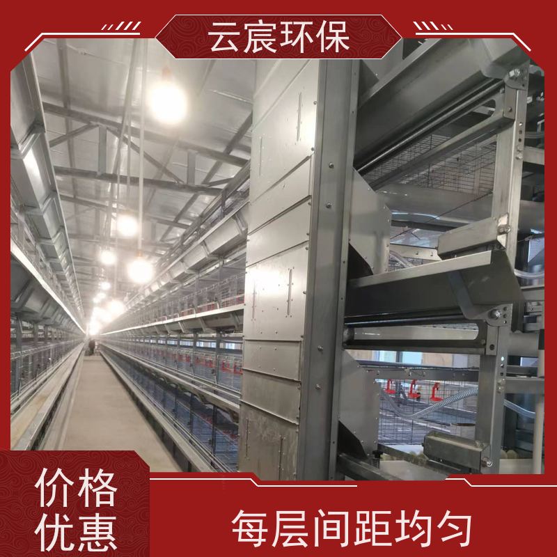 云宸环保 自动化青年鸡养殖笼 镀锌养鸡设备 有效节约空间