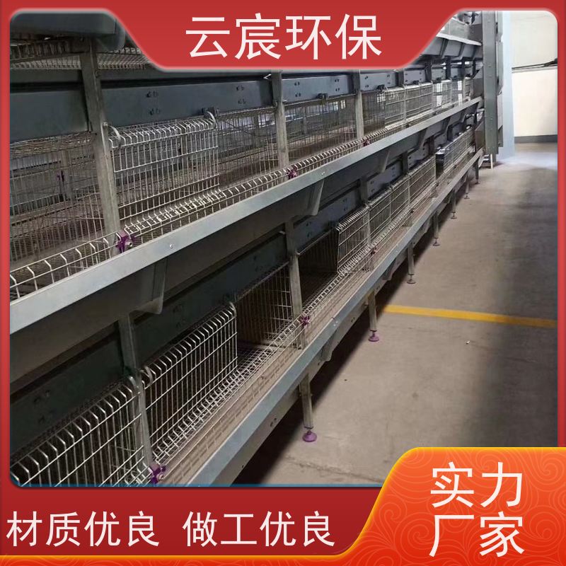 云宸环保 全自动青年鸡笼 智能化养殖 耐腐蚀 承载力好