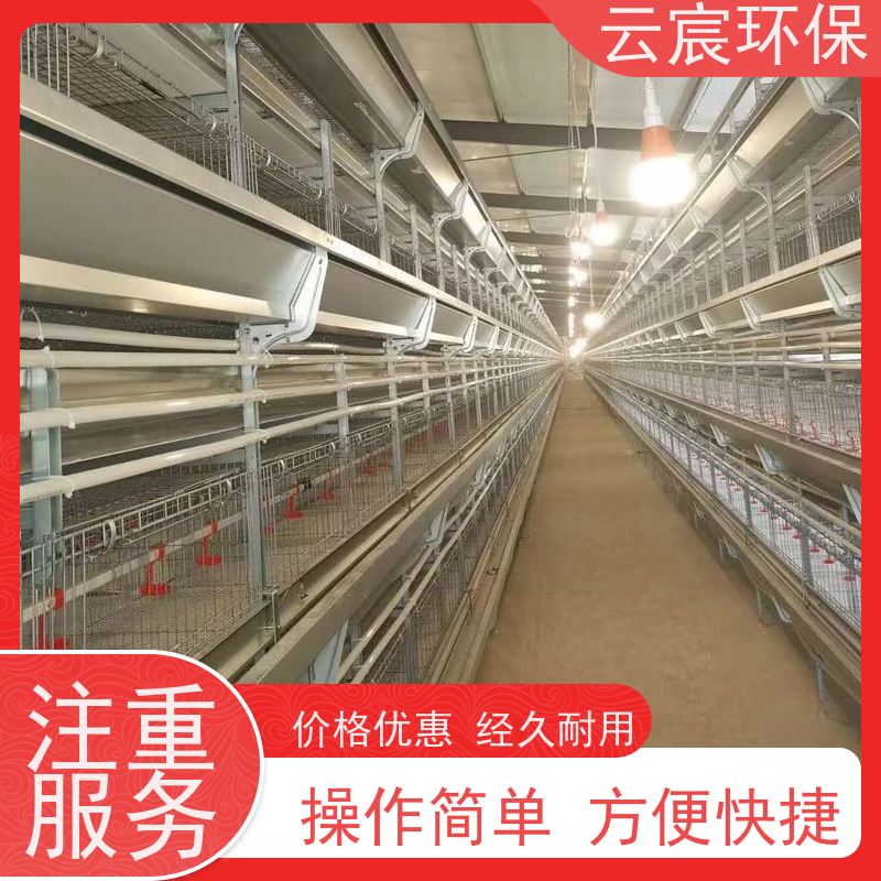 云宸环保 立体式青年鸡笼 加粗养殖笼 占地面积小