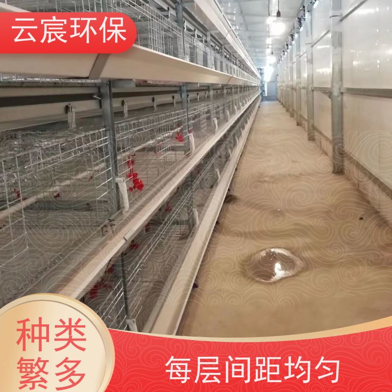 云宸环保 立体式青年鸡笼 层数组数可灵活定制 承载力好