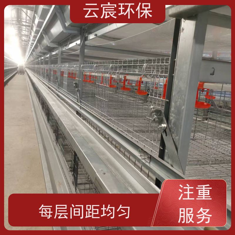 云宸环保 青年蛋鸡笼 自动化养鸡设备 节省人工