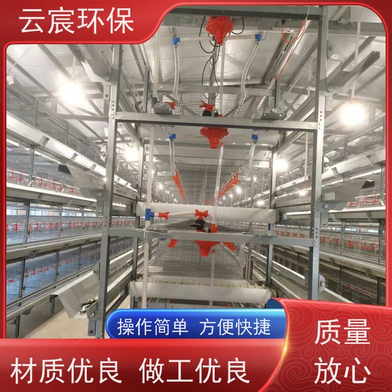 云宸环保 自动化青年鸡笼 大型鸡场养鸡设备 省时省力