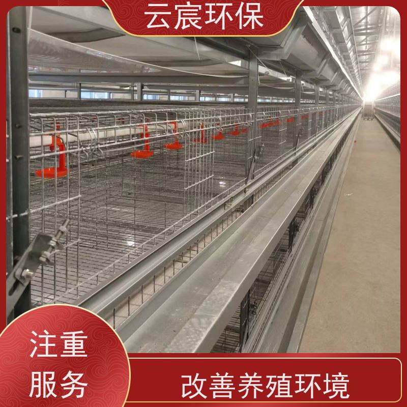 云宸环保 多层青年鸡笼子 大型鸡场养鸡设备 方便快捷
