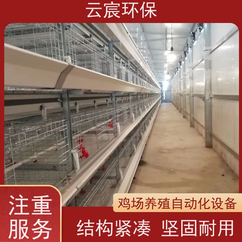 云宸环保 自动化青年鸡笼 镀锌养鸡设备 空间利用率高