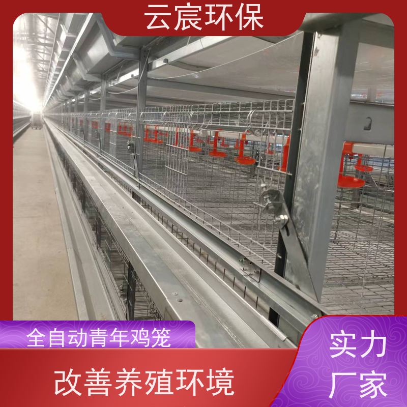 云宸环保 全自动青年鸡笼 大型鸡场养鸡设备 使用寿命长