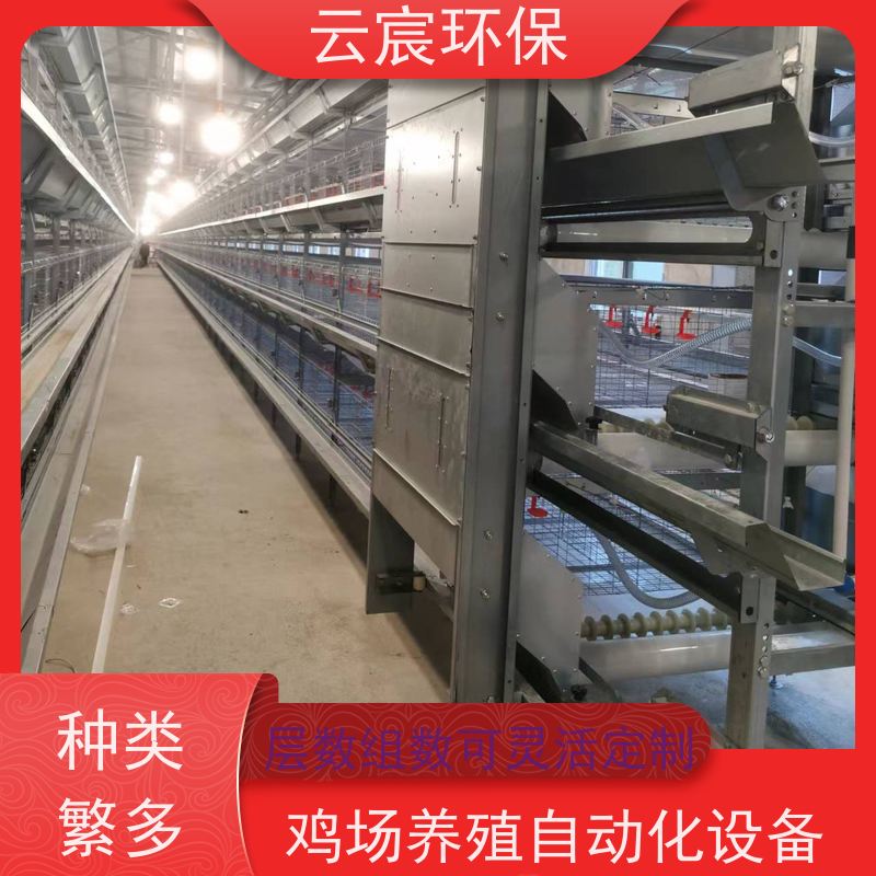 云宸环保 立体式青年鸡笼 鸡场养殖自动化设备 实用性高