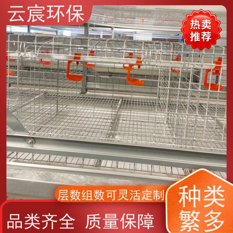 云宸环保 青年鸡笼 自动化养鸡设备 有效保证鸡只安全