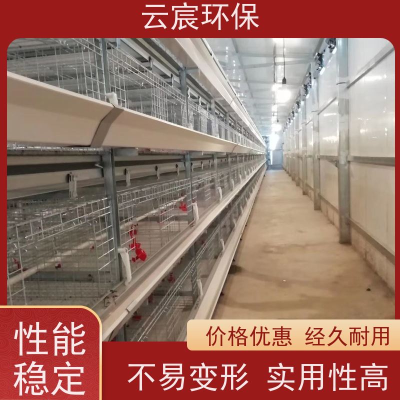 云宸环保 全自动青年鸡笼 层数组数可灵活定制 结构紧凑