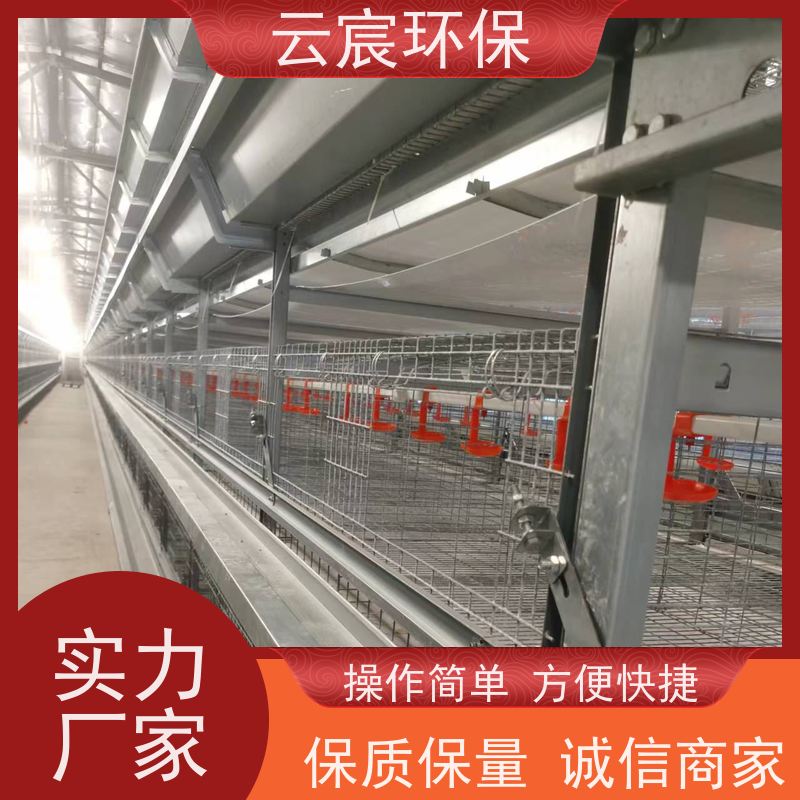 云宸环保 全自动青年鸡笼 镀锌养鸡设备 材质优良 耐老化