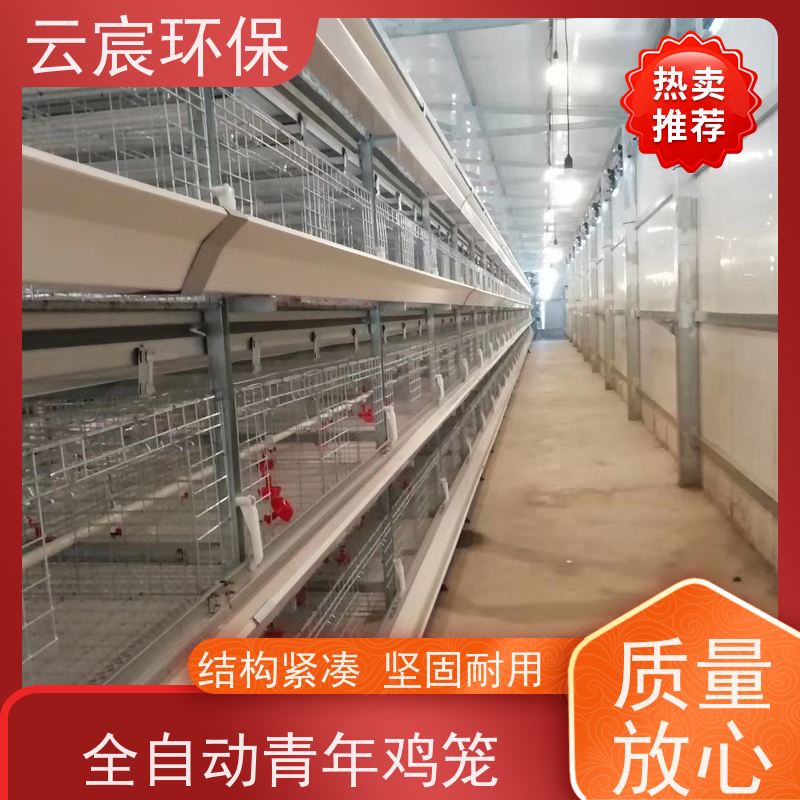 云宸环保 多层青年鸡笼子 加粗养殖笼 材质优良 耐老化