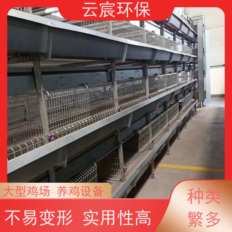 云宸环保 立体式青年鸡笼 层数组数可灵活定制 不易变形