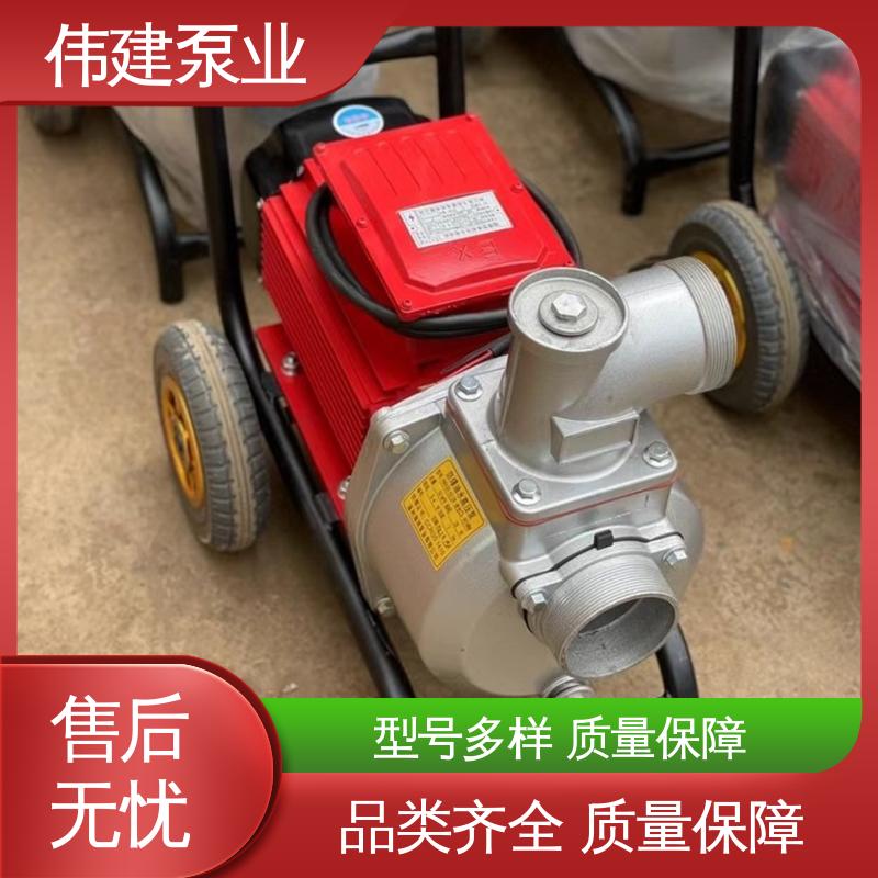 伟建供应 耐酸碱耐腐蚀 糖蜜糖浆卸车用 支持定制 罗茨油泵