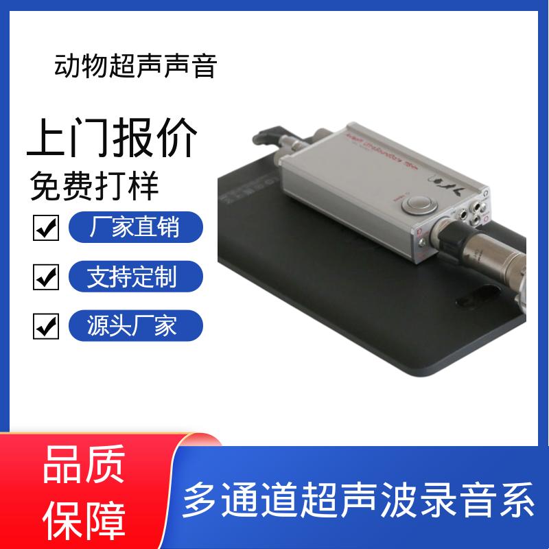 德国Avisoft 超声波记录仪 输入阻抗 50 kΩ 厂家制造供应