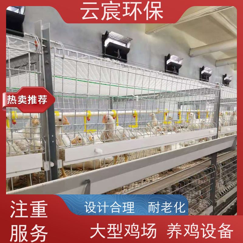 云宸环保 三层框架肉鸡笼 自动化清粪捡蛋养殖设备 操作简单