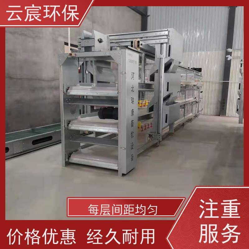 云宸环保 镀锌全自动肉鸡笼 智能化养殖 耐腐蚀 有效保证鸡只安全