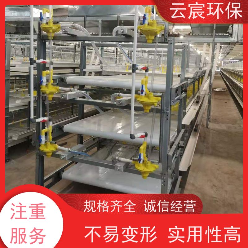 云宸环保 全自动框架肉鸡笼 智能化养殖 耐腐蚀 有效节约空间