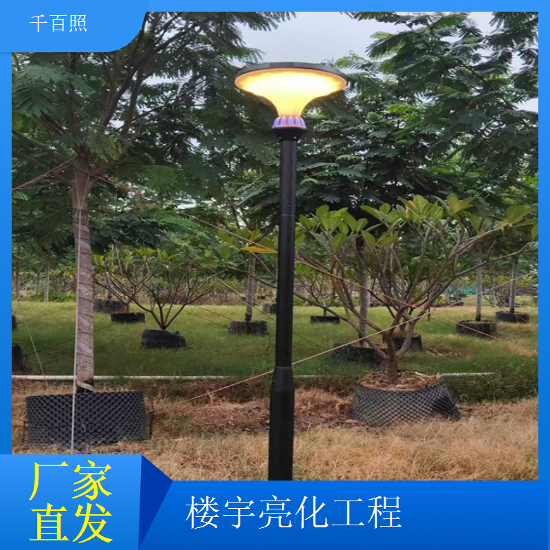  楼宇亮化历史传承 古建筑夜景灯光保护工程千百照