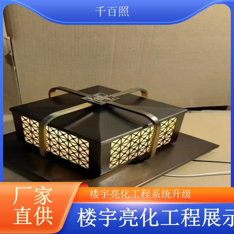 千百照市政楼宇亮化工程 街道办事处办公楼外墙灯光施工